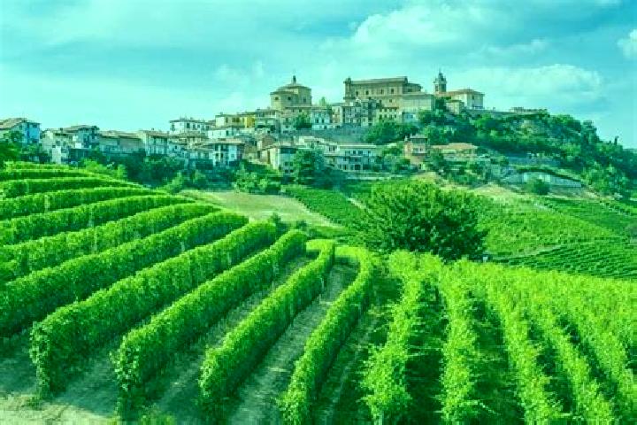 Aurora, 28 — Escort in Sale delle Langhe, Italy