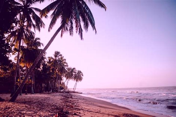 Aurora, 29 — Escort in Dibulla, Colombia
