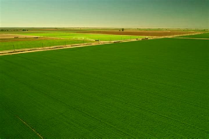 Aurora, 29 — Escort in Farmland, United States