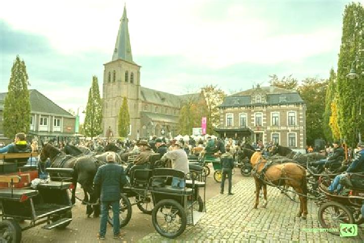 Aurora, 29 — Escort in Sint-Huibrechts-Lille, Belgium