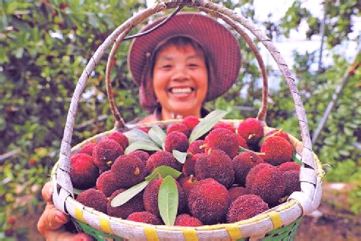 Aurora, 29 — Escort in Yangmei, China