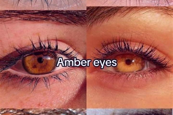 Aurora, 30, a chestnut amber-eyed caucasian companion based in Driggs. Offering GFE, Overnight, OWO, BDSM. Available for incall and outcall, day and evening ...