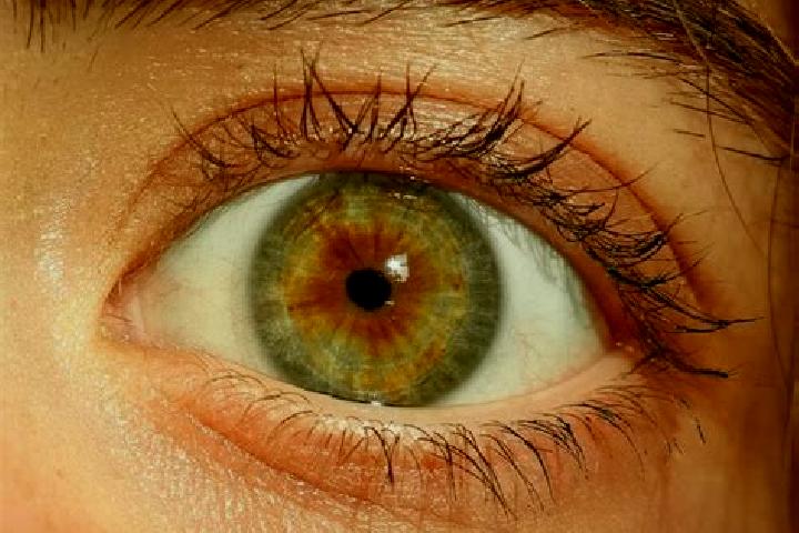 Aurora, 30, a red hazel-eyed mediterranean companion based in Kalibuntu. Offering Roleplay, OWO, CIM, Domination. Available for incall and outcall, overnight...
