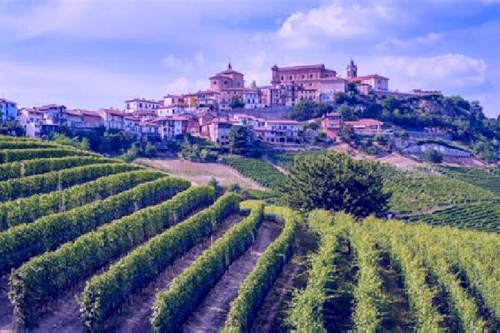 Aurora, 30 — Escort in Belvedere Langhe, Italy