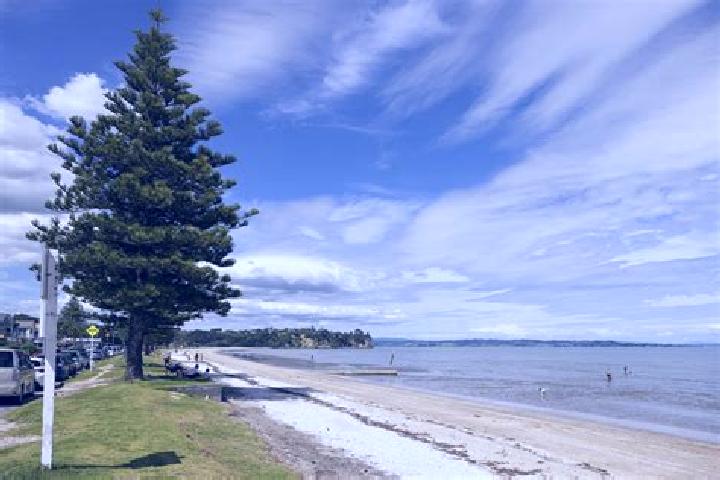 Aurora, 30 — Escort in Eastern Beach, New Zealand
