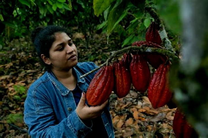Aurora, 30 — Escort in Francisco J. Santamaria (Cacao), Mexico