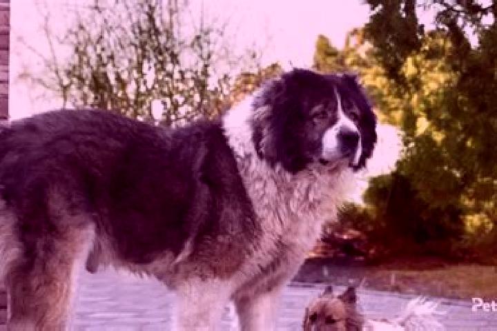 Aurora, 30 — Escort in Gorban, Romania