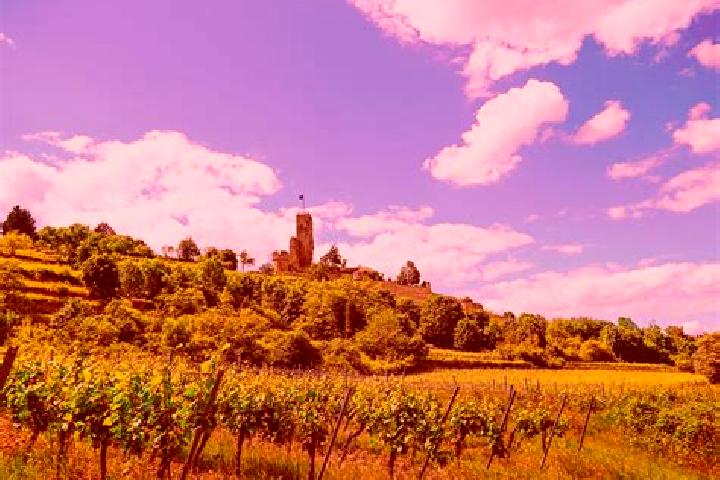 Aurora, 30 — Escort in Hauenstein, Germany