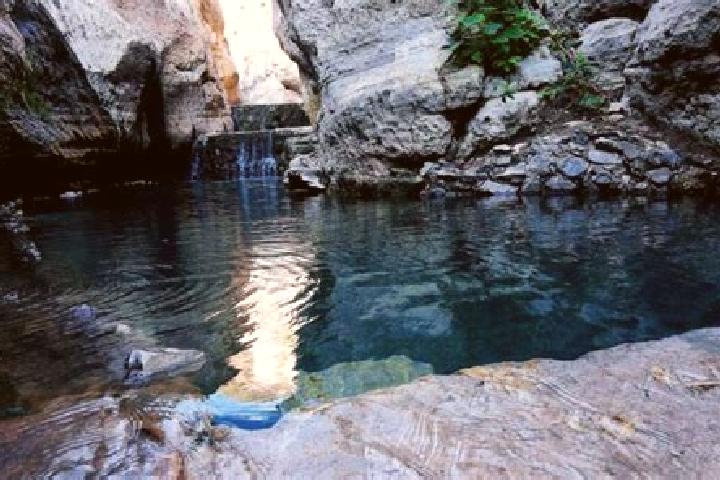 Aurora, 30 — Escort in Nuevo Zirosto, Mexico