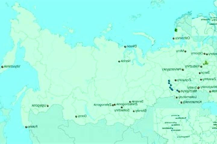 Aurora, 30 — Escort in Yurginskoye, Russia