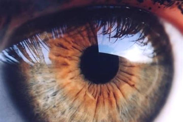 Aurora, 31, a auburn hazel-eyed caucasian companion based in Cussay. Offering Girlfriend Experience, A-Level, Party Girl. Available for incall and outcall, o...