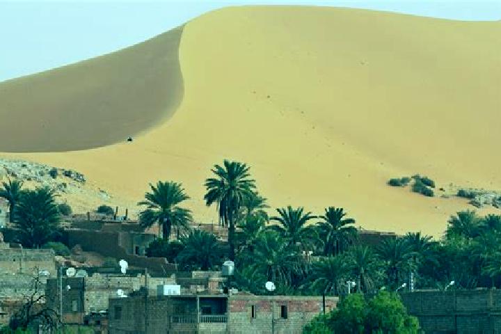 Aurora, 31 — Escort in Beni Abbes, Algeria