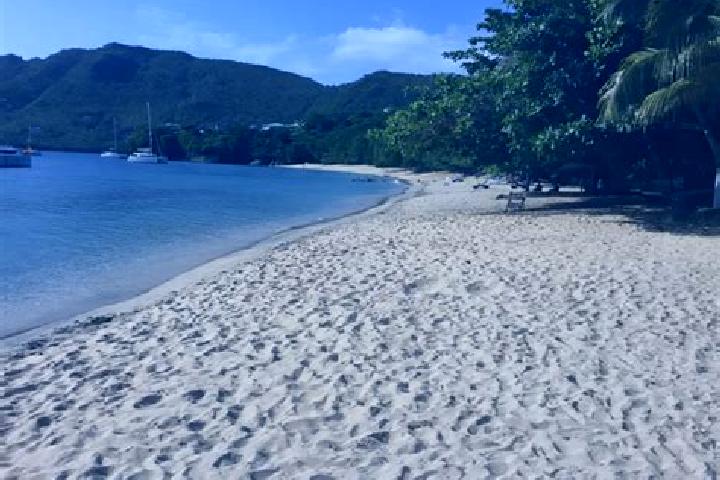 Aurora, 31 — Escort in Edinboro, Saint Vincent and the Grenadines