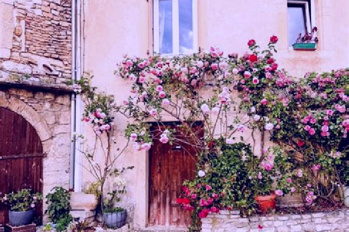 Aurora, 31 — Escort in Grignan, France