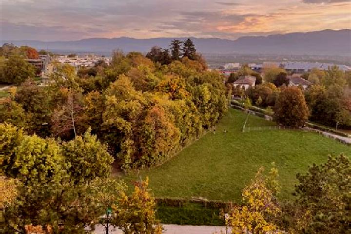 Aurora, 31 — Escort in Le Grand-Saconnex, Switzerland