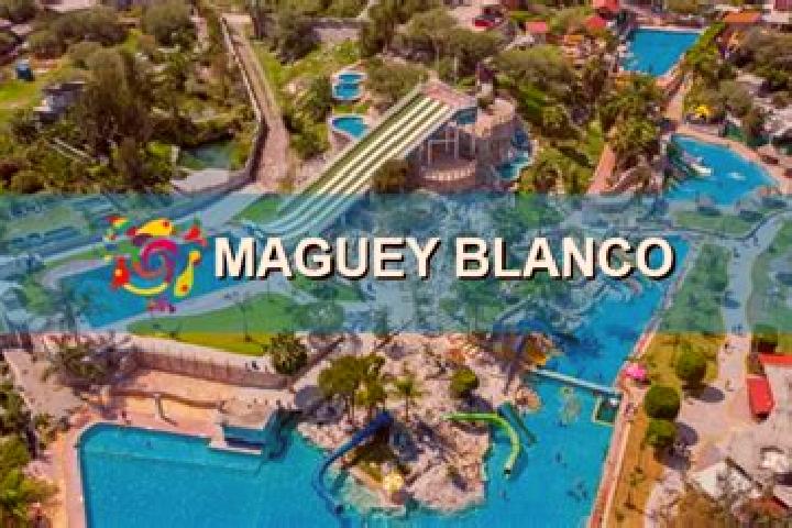 Aurora, 31 — Escort in Maguey Blanco, Mexico