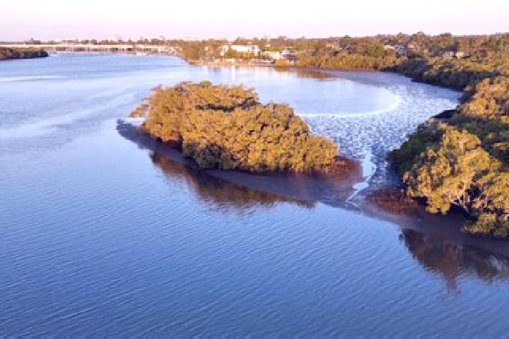 Aurora, 31 — Escort in Maroochy River, Australia