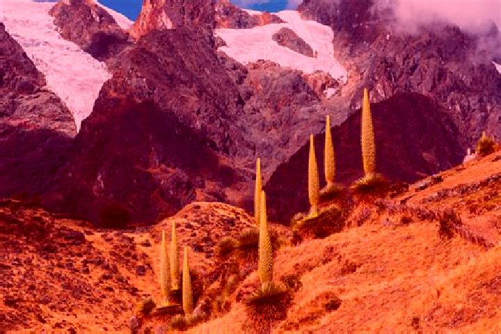 Aurora, 31 — Escort in Masma Chicche, Peru