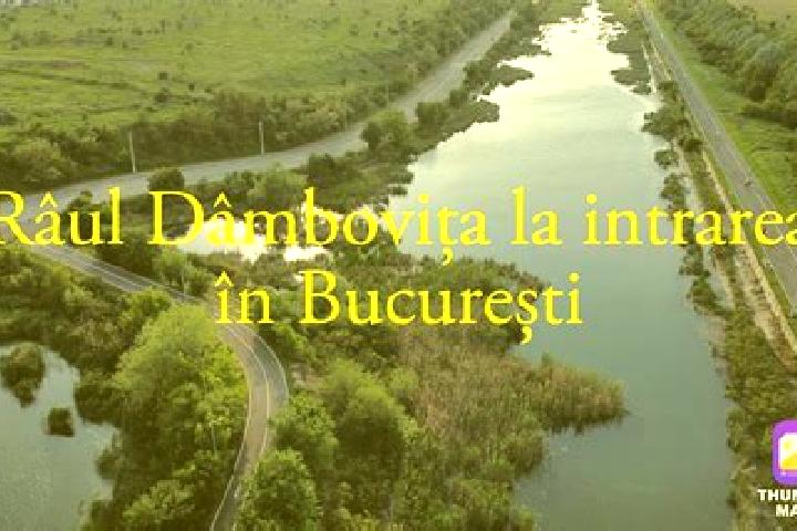 Aurora, 31 — Escort in Rau Alb de Sus, Romania
