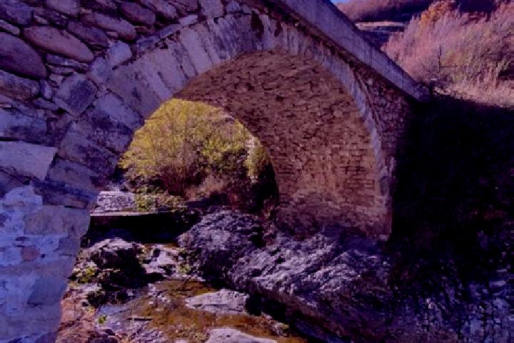 Aurora, 31 — Escort in Topolovo, Bulgaria