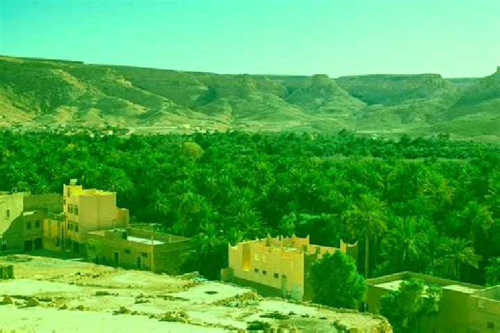 Aurora, 31 — Escort in Zagora, Morocco