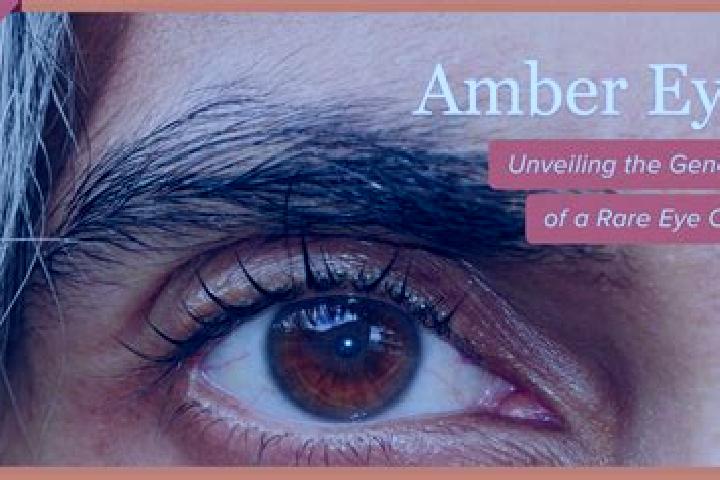 Aurora, 32, a dark blonde amber-eyed mediterranean companion based in OEstra Grevie. Offering Overnight, Tantra, Fetish. Available for incall and outcall, ov...