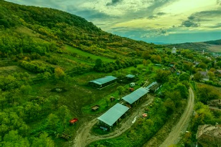 Aurora, 32 — Escort in Balomiru de Camp, Romania