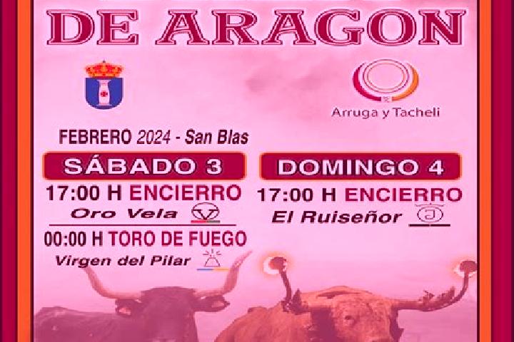 Aurora, 32 — Escort in Brea de Aragon, Spain