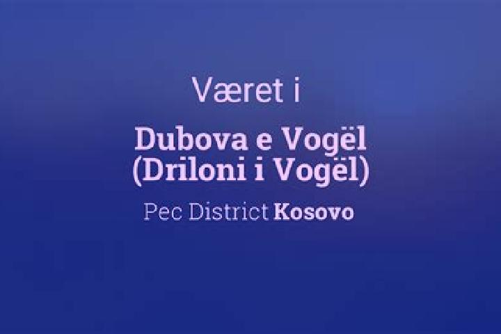 Aurora, 32 — Escort in Dubova (Driloni), Kosovo