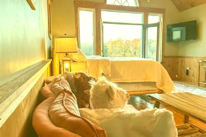 Aurora, 32 — Escort in Powhatan Point, United States