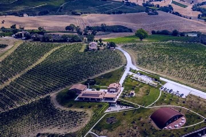 Aurora, 32 — Escort in San Marcello, Italy