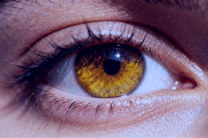 Aurora, 33, a auburn amber-eyed european companion based in San Antonio la Galera. Offering Roleplay, A-Level, Travel Companion. Available for incall and out...