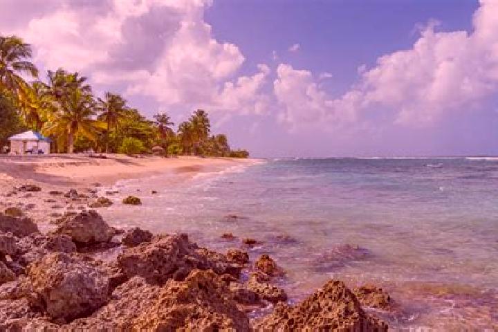 Aurora, 33 — Escort in Anse-Bertrand, Guadeloupe