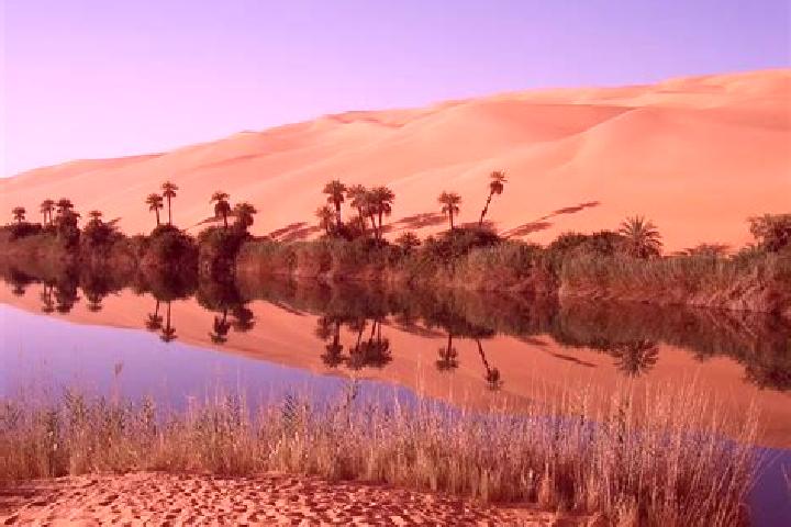 Aurora, 33 — Escort in Bani Walid, Libya