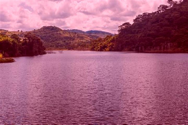 Aurora, 33 — Escort in Itambacuri, Brazil