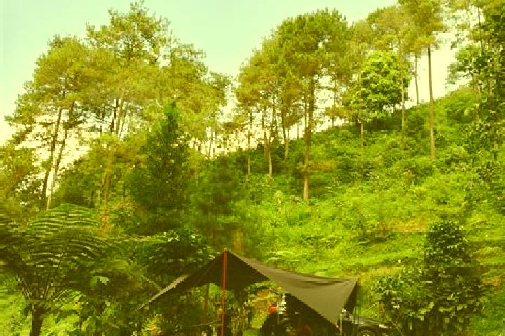 Aurora, 33 — Escort in Kampung Rimba, Brunei