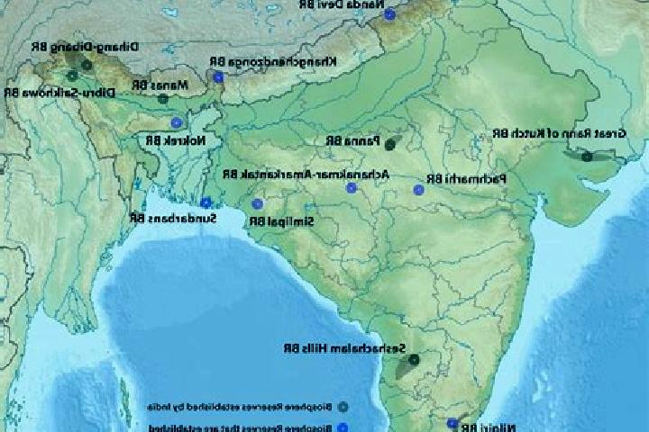 Aurora, 33 — Escort in Kotamangalam, India