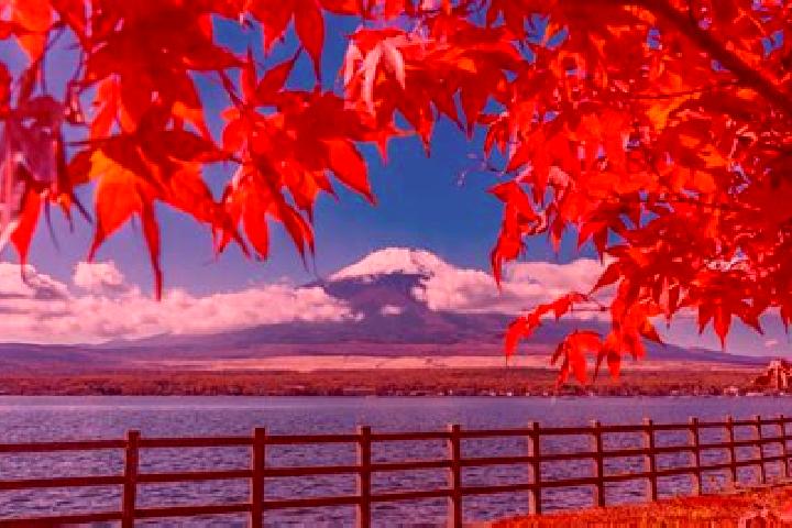 Aurora, 33 — Escort in Matsushima, Japan