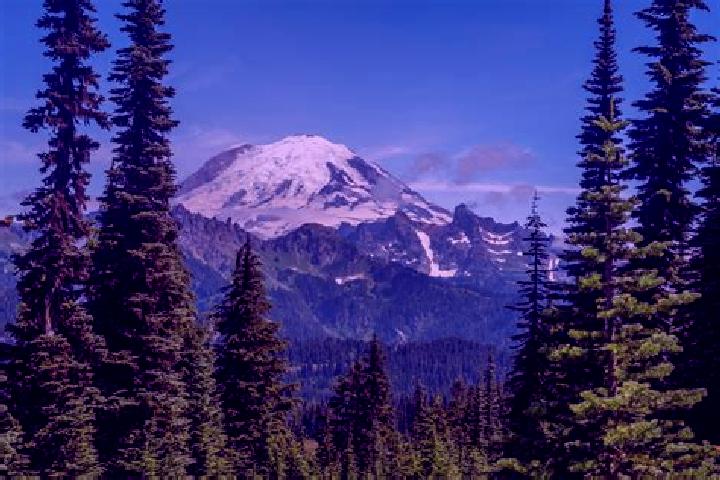 Aurora, 33 — Escort in Mount Rainier, United States