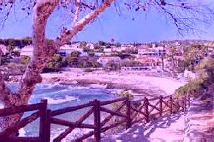 Aurora, 33 — Escort in Olocau, Spain