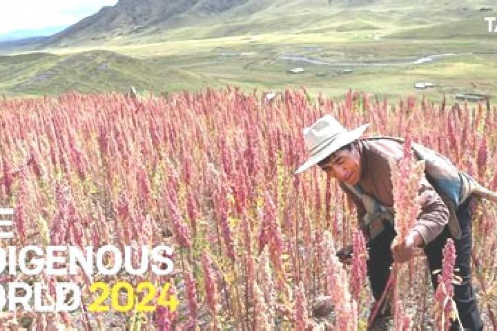 Aurora, 33 — Escort in Pingpu, China