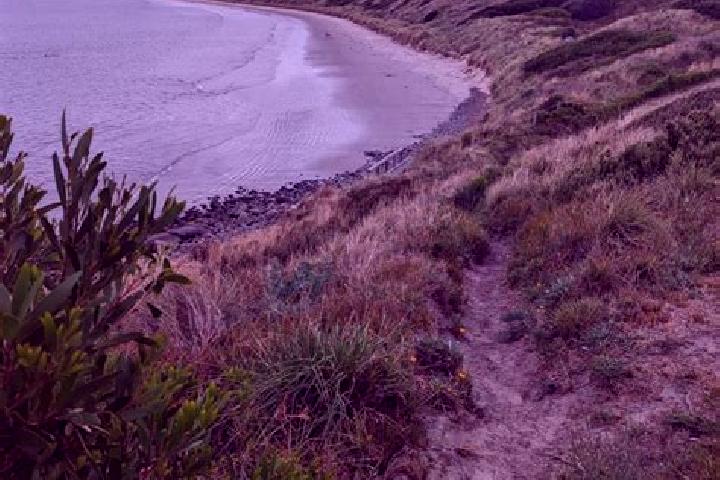 Aurora, 33 — Escort in Primrose Sands, Australia