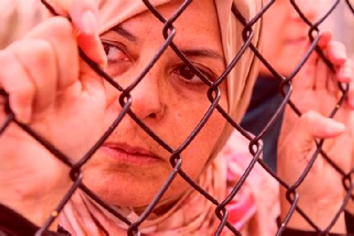 Aurora, 33 — Escort in Shabtin, Palestine