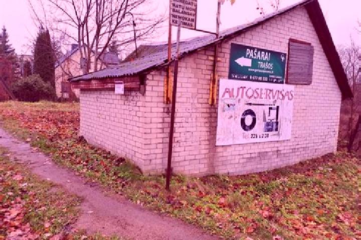 Aurora, 33 — Escort in Skaidiskes, Lithuania