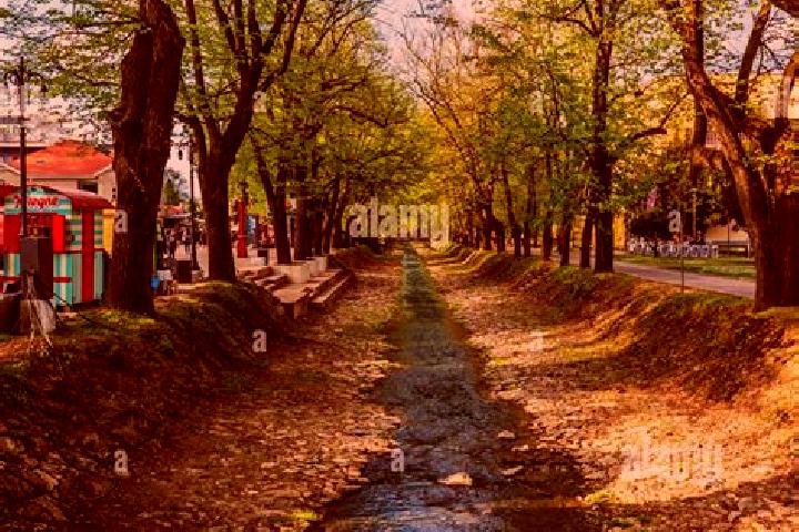 Aurora, 33 — Escort in Vrnjacka Banja, Serbia