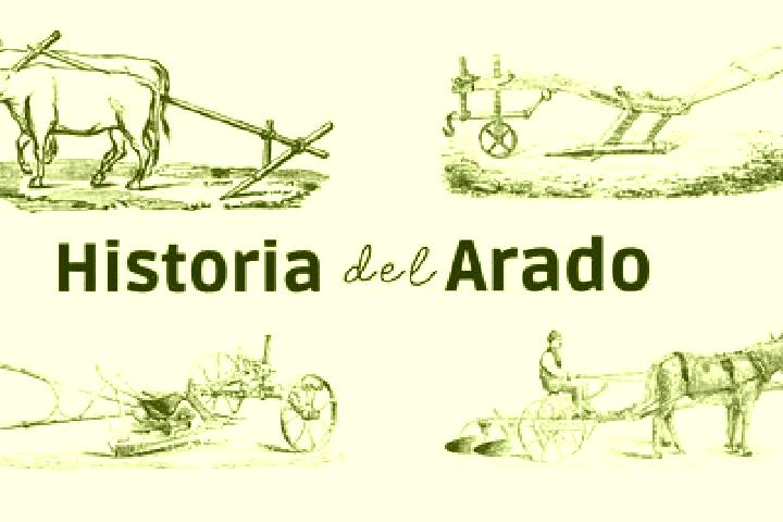 Aurora, 34 — Escort in Lo Arado, Mexico