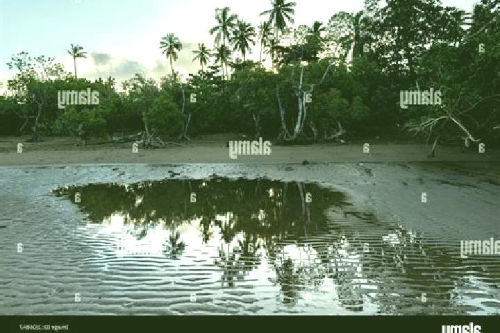 Aurora, 34 — Escort in Poroani, Mayotte