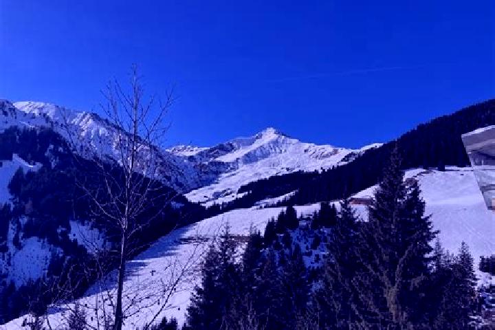 Aurora, 34 — Escort in Rax, Austria