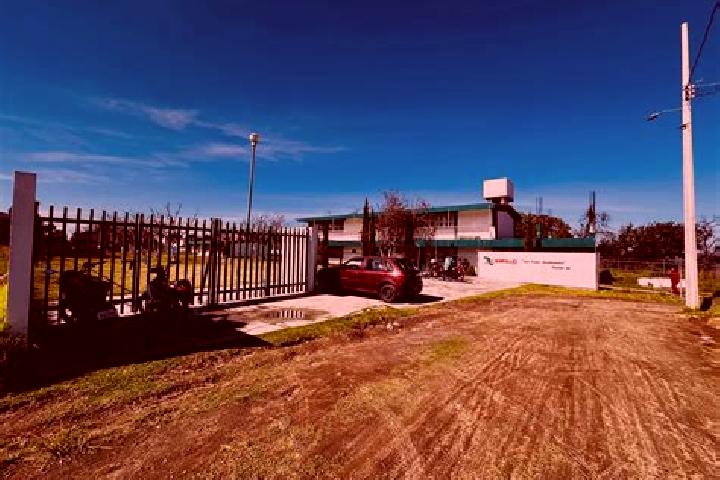 Aurora, 34 — Escort in Santa Cruz Pocitos, Mexico