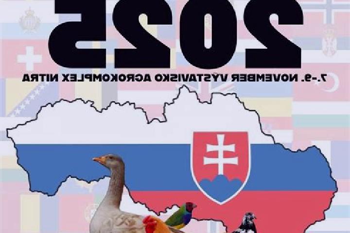 Aurora, 34 — Escort in Trencianska Turna, Slovakia